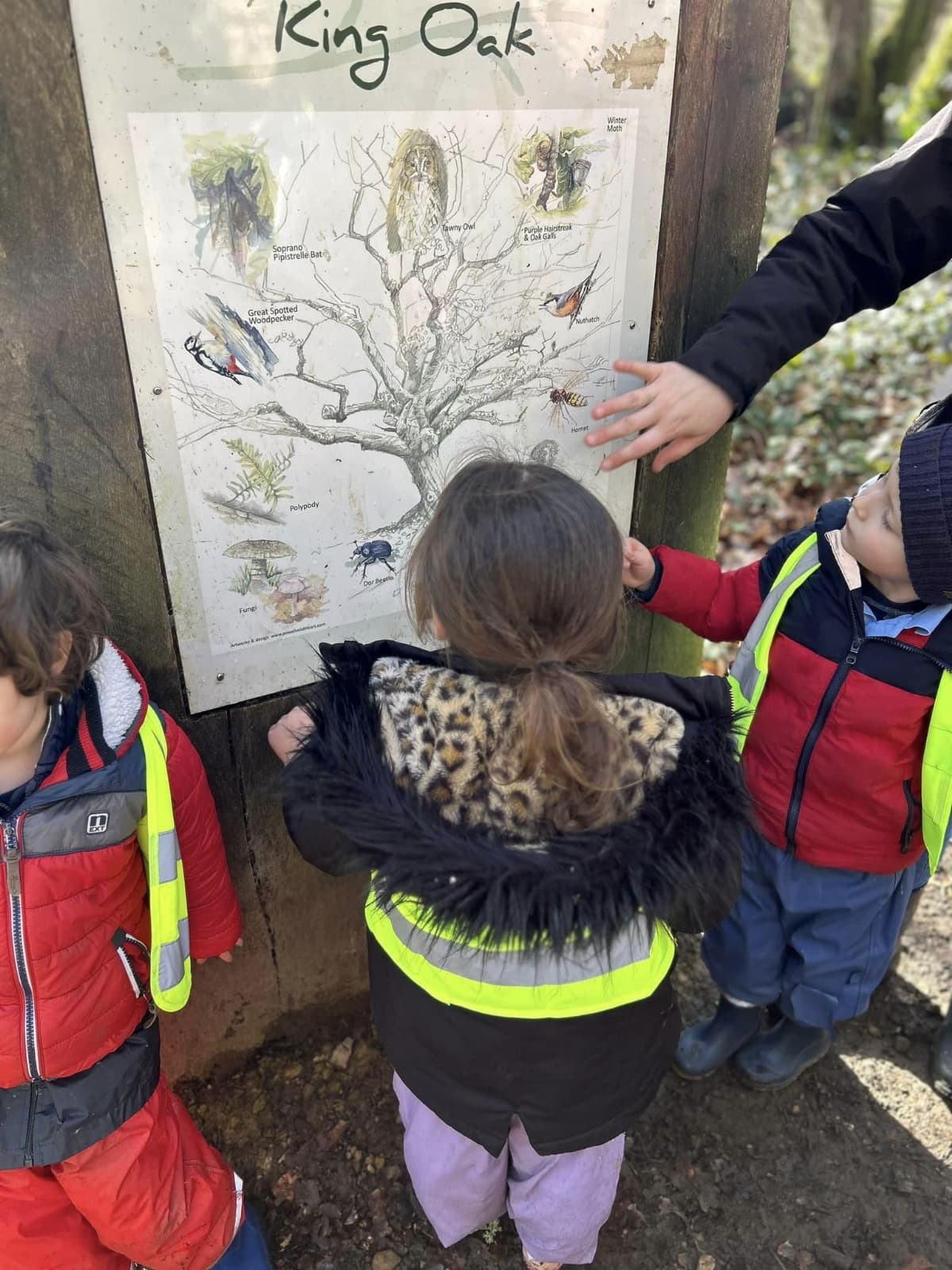 Little Gems Nursery Forest School